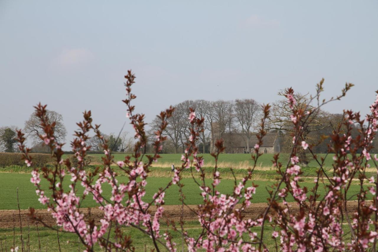 Superb Stokesby Barn Apartment - Norfolk Broads & Norwich Εξωτερικό φωτογραφία