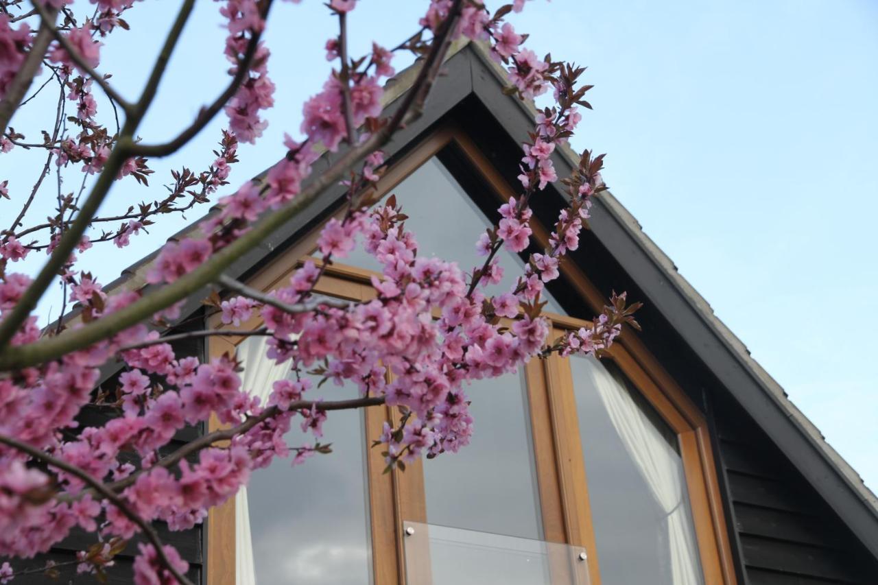 Superb Stokesby Barn Apartment - Norfolk Broads & Norwich Εξωτερικό φωτογραφία
